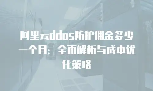 阿里云ddos防护佣金多少一个月：全面解析与成本优化策略