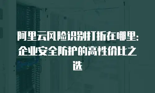 阿里云风险识别打折在哪里：企业安全防护的高性价比之选