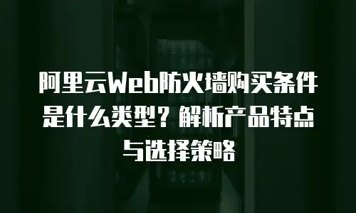 阿里云Web防火墙购买条件是什么类型？解析产品特点与选择策略