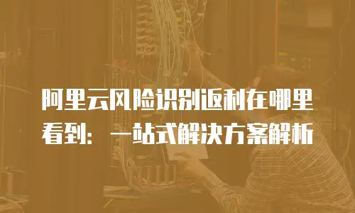 阿里云风险识别返利在哪里看到：一站式解决方案解析