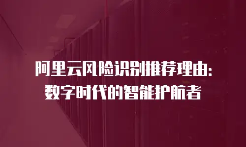 阿里云风险识别推荐理由：数字时代的智能护航者