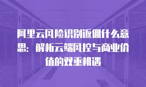 阿里云风险识别返佣什么意思：解析云端风控与商业价值的双重机遇