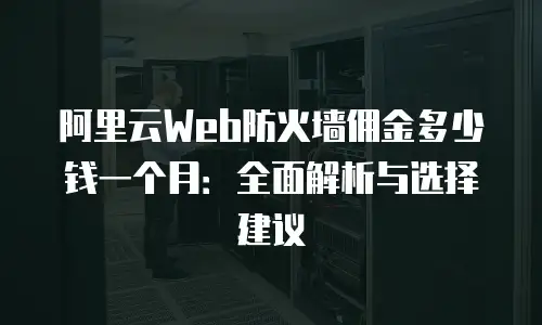 阿里云Web防火墙佣金多少钱一个月：全面解析与选择建议