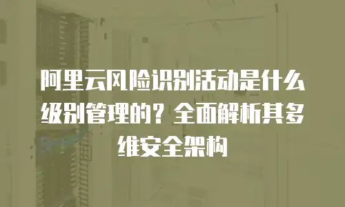 阿里云风险识别活动是什么级别管理的？全面解析其多维安全架构