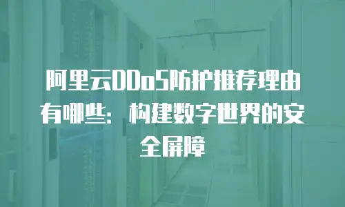 阿里云DDoS防护推荐理由有哪些：构建数字世界的安全屏障