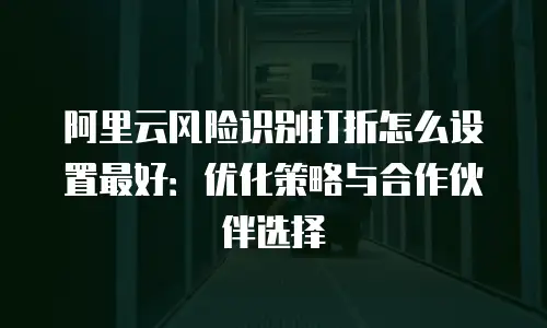 阿里云风险识别打折怎么设置最好：优化策略与合作伙伴选择