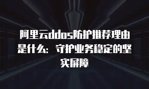 阿里云ddos防护推荐理由是什么：守护业务稳定的坚实屏障