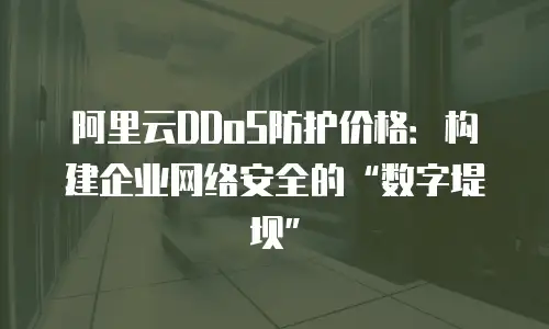 阿里云DDoS防护价格：构建企业网络安全的“数字堤坝”