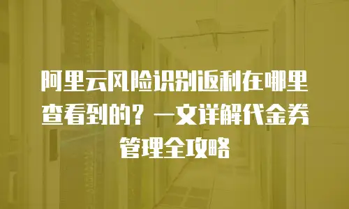阿里云风险识别返利在哪里查看到的？一文详解代金券管理全攻略