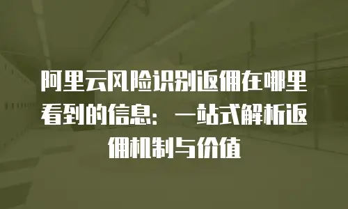 阿里云风险识别返佣在哪里看到的信息：一站式解析返佣机制与价值