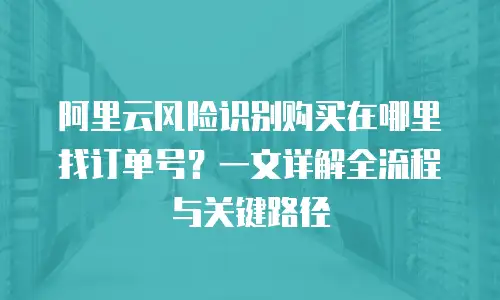 阿里云风险识别购买在哪里找订单号？一文详解全流程与关键路径
