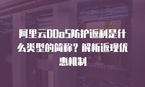 阿里云DDoS防护返利是什么类型的简称？解析返现优惠机制
