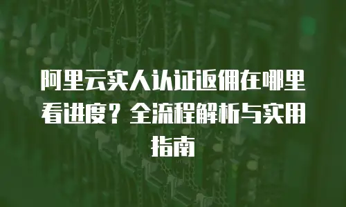 阿里云实人认证返佣在哪里看进度？全流程解析与实用指南