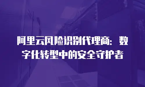 阿里云风险识别代理商：数字化转型中的安全守护者