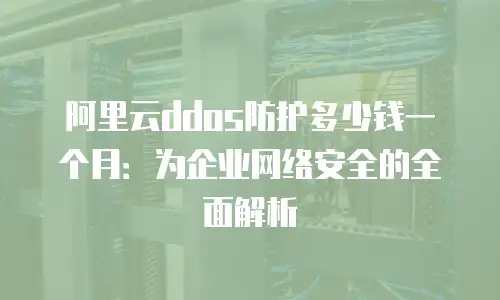 阿里云ddos防护多少钱一个月：为企业网络安全的全面解析
