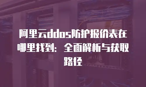 阿里云ddos防护报价表在哪里找到：全面解析与获取路径