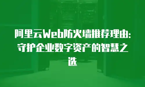阿里云Web防火墙推荐理由：守护企业数字资产的智慧之选