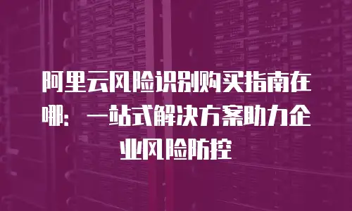 阿里云风险识别购买指南在哪：一站式解决方案助力企业风险防控