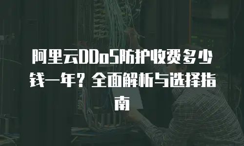 阿里云DDoS防护收费多少钱一年？全面解析与选择指南