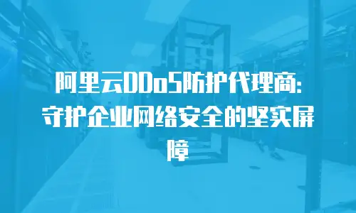阿里云DDoS防护代理商：守护企业网络安全的坚实屏障