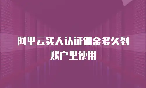 阿里云实人认证佣金多久到账户里使用