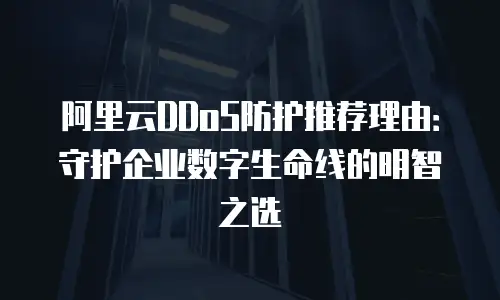 阿里云DDoS防护推荐理由：守护企业数字生命线的明智之选