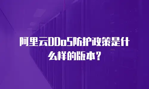 阿里云DDoS防护政策是什么样的版本？