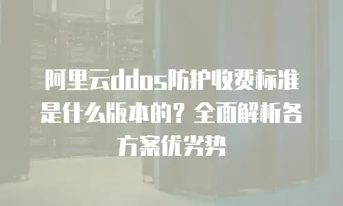 阿里云ddos防护收费标准是什么版本的？全面解析各方案优劣势