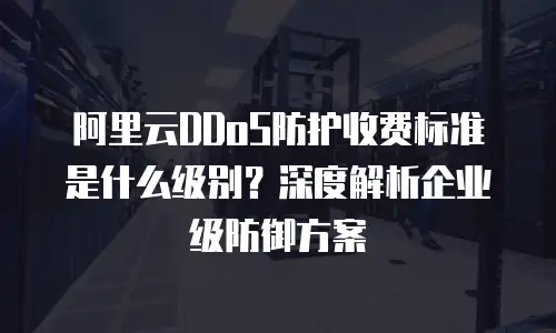 阿里云DDoS防护收费标准是什么级别？深度解析企业级防御方案