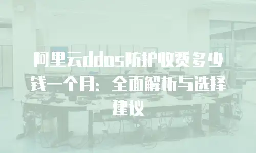 阿里云ddos防护收费多少钱一个月：全面解析与选择建议