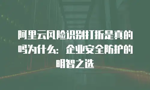 阿里云风险识别打折是真的吗为什么：企业安全防护的明智之选