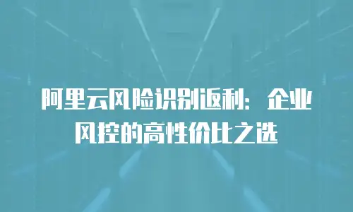 阿里云风险识别返利：企业风控的高性价比之选