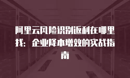 阿里云风险识别返利在哪里找：企业降本增效的实战指南