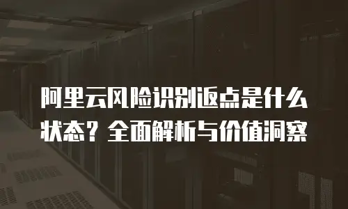 阿里云风险识别返点是什么状态？全面解析与价值洞察