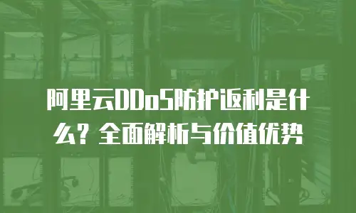 阿里云DDoS防护返利是什么？全面解析与价值优势