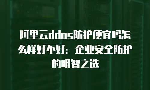 阿里云ddos防护便宜吗怎么样好不好：企业安全防护的明智之选