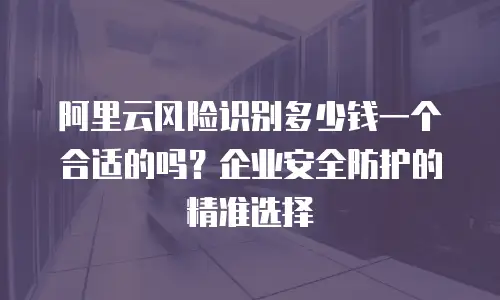 阿里云风险识别多少钱一个合适的吗？企业安全防护的精准选择