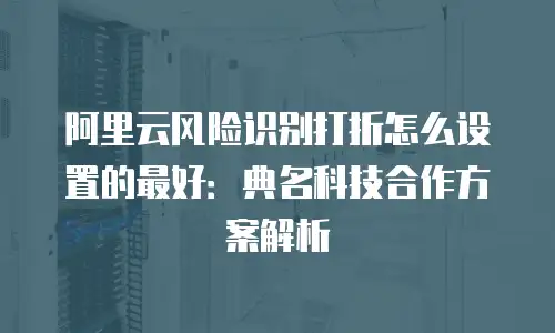 阿里云风险识别打折怎么设置的最好：典名科技合作方案解析