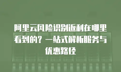 阿里云风险识别返利在哪里看到的？一站式解析服务与优惠路径