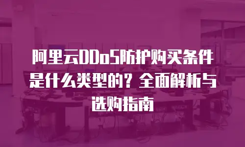 阿里云DDoS防护购买条件是什么类型的？全面解析与选购指南