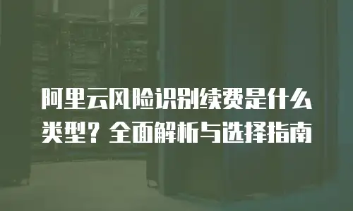 阿里云风险识别续费是什么类型？全面解析与选择指南