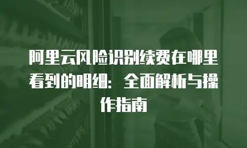 阿里云风险识别续费在哪里看到的明细：全面解析与操作指南
