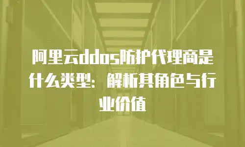 阿里云ddos防护代理商是什么类型：解析其角色与行业价值
