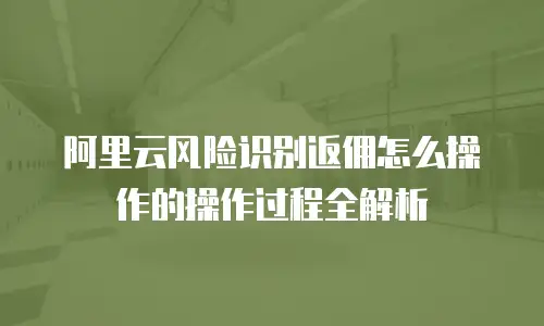 阿里云风险识别返佣怎么操作的操作过程全解析