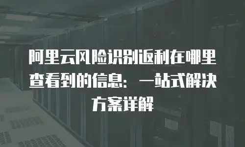 阿里云风险识别返利在哪里查看到的信息：一站式解决方案详解