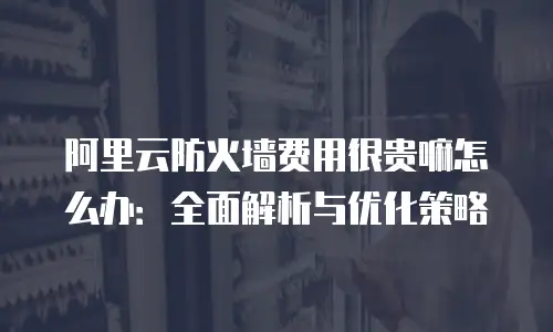 阿里云防火墙费用很贵嘛怎么办：全面解析与优化策略