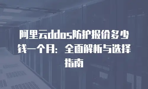 阿里云ddos防护报价多少钱一个月：全面解析与选择指南