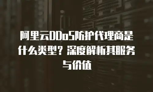 阿里云DDoS防护代理商是什么类型？深度解析其服务与价值