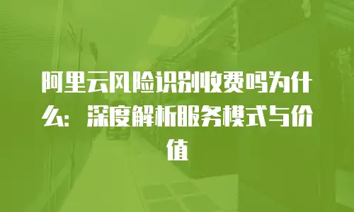 阿里云风险识别收费吗为什么：深度解析服务模式与价值