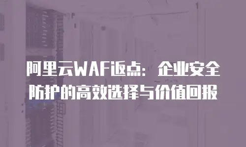 阿里云WAF返点：企业安全防护的高效选择与价值回报